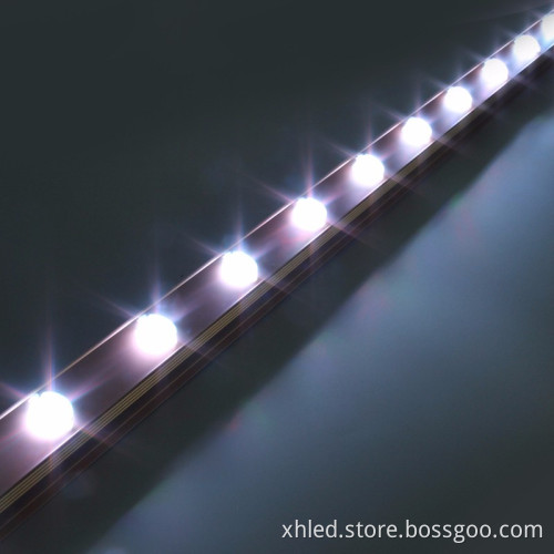 Epistar 20mm 0.3W DC12V Pixel Single White Color Waterproof IP67 SMD5050 Outdoor LED Lights